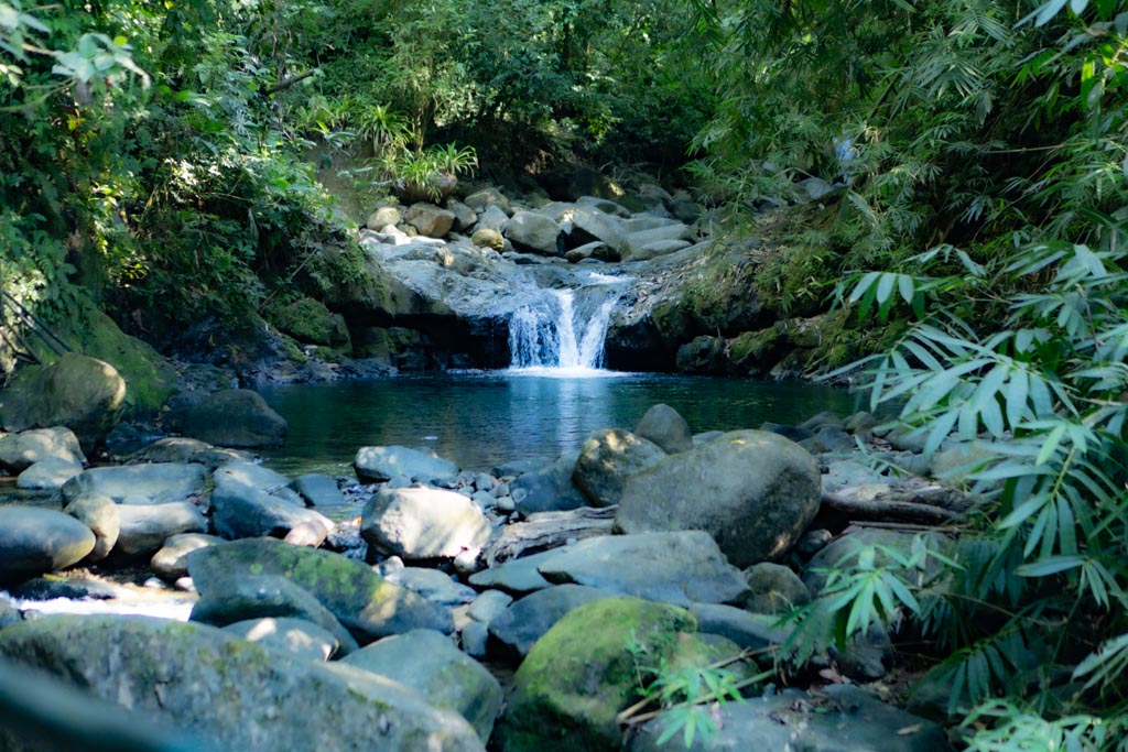 Waterfall Fun
